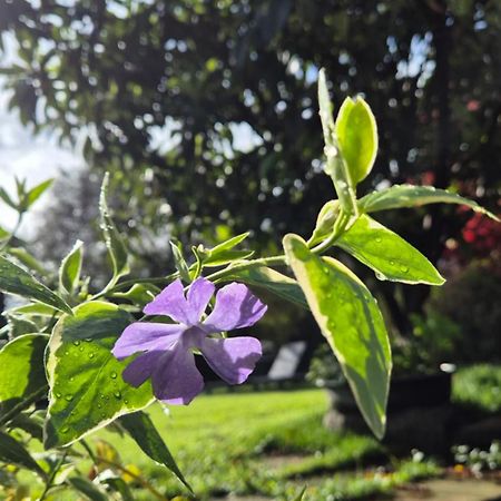 Cascina San Martino Bed & Breakfast Passirano Exterior photo